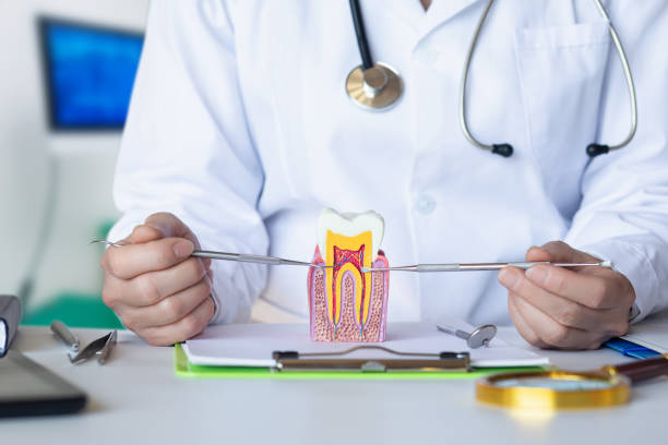 Best Emergency Dental Surgery in Johns Creek, GA
